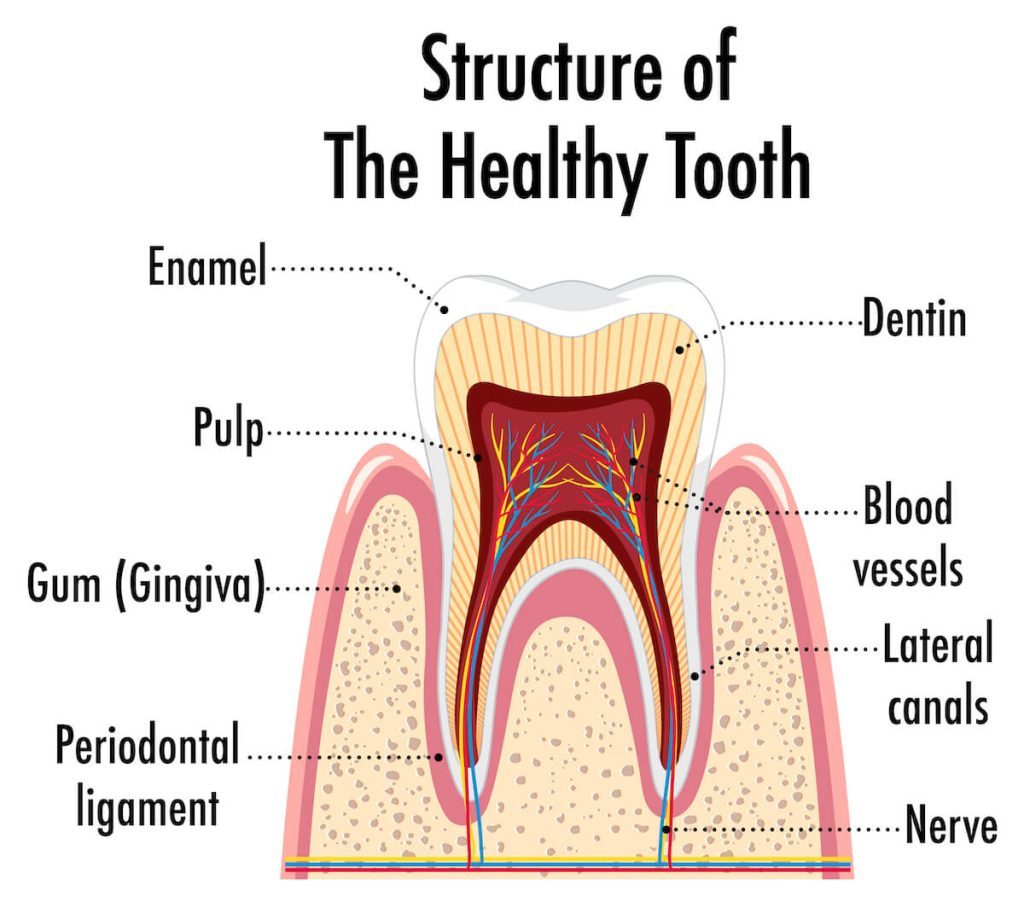 what are dental cavities